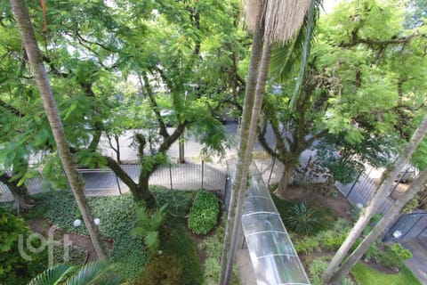 Image 5 - 243277