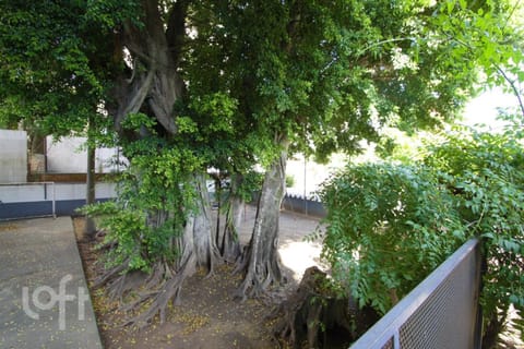 Image 16 - 243277