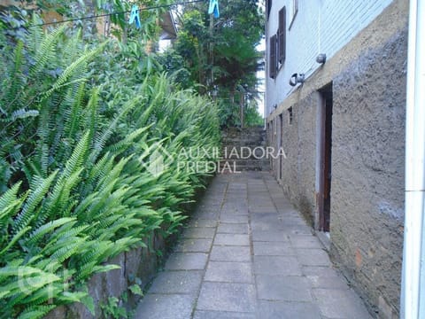 Image 7 - 255721