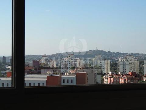 Image 15 - 257617