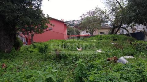 Image 4 - 257715