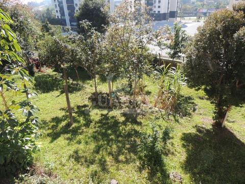Image 10 - 257769