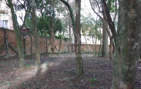 Image 4 - 257891