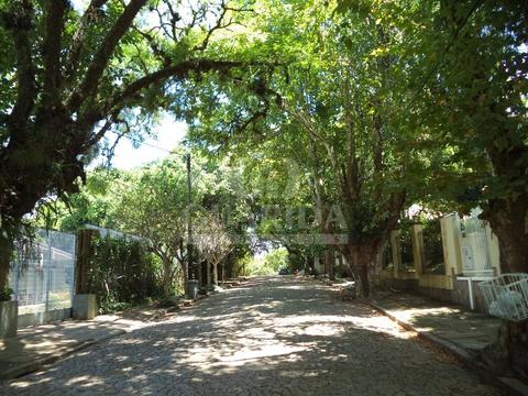 Image 12 - 257891