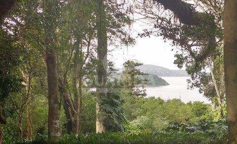 Image 7 - 257891