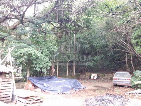 Image 4 - 257952