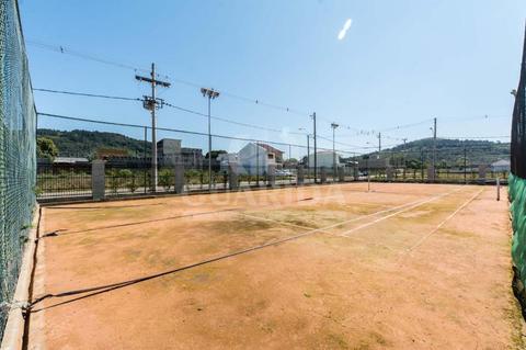 Image 36 - 258233