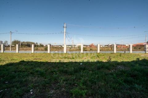 Image 6 - 258233
