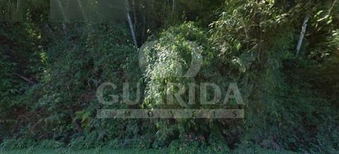 Image 3 - 258958