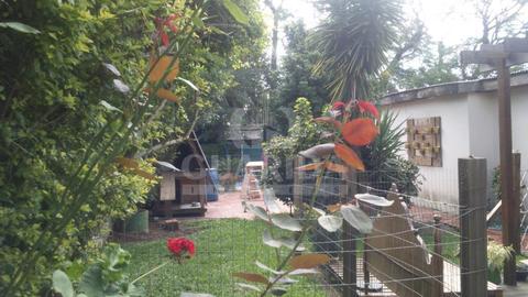 Image 14 - 258961
