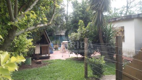 Image 10 - 258961