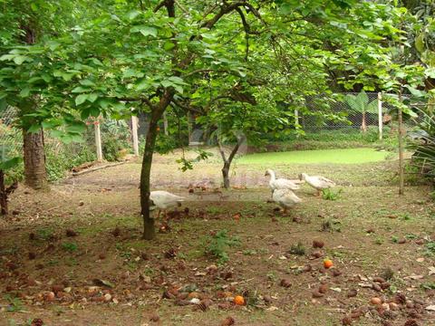 Image 13 - 258970