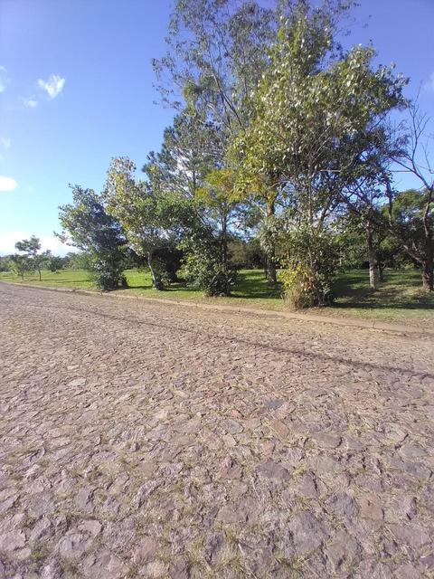 Image 8 - 258996