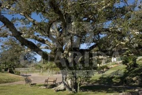 Image 3 - 259254