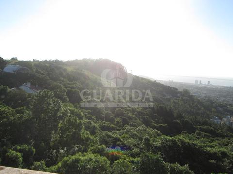 Image 8 - 259272