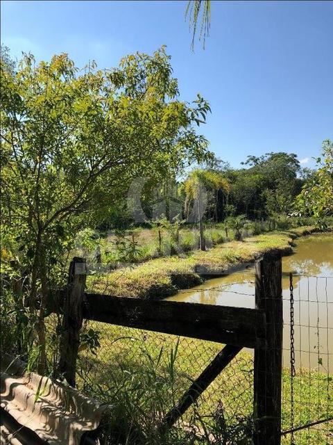 Image 10 - 259405