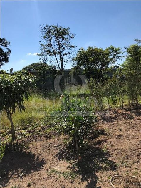 Image 13 - 259405