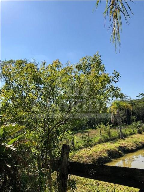 Image 8 - 259405