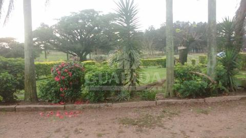 Image 7 - 259455