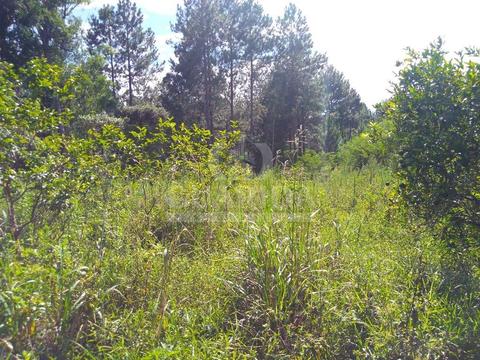 Image 3 - 259479