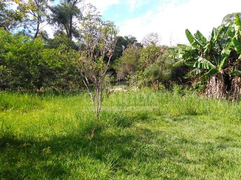 Image 5 - 259479