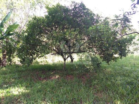 Image 4 - 259479