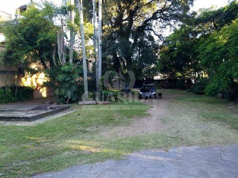 Image 11 - 259484