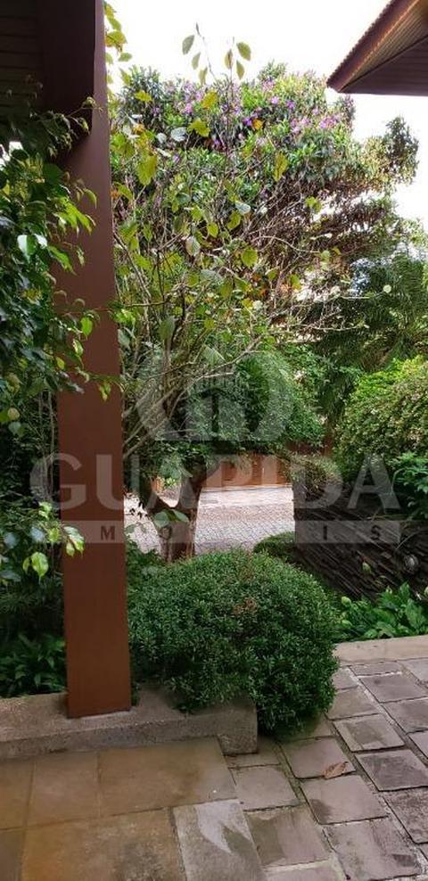 Image 7 - 259851