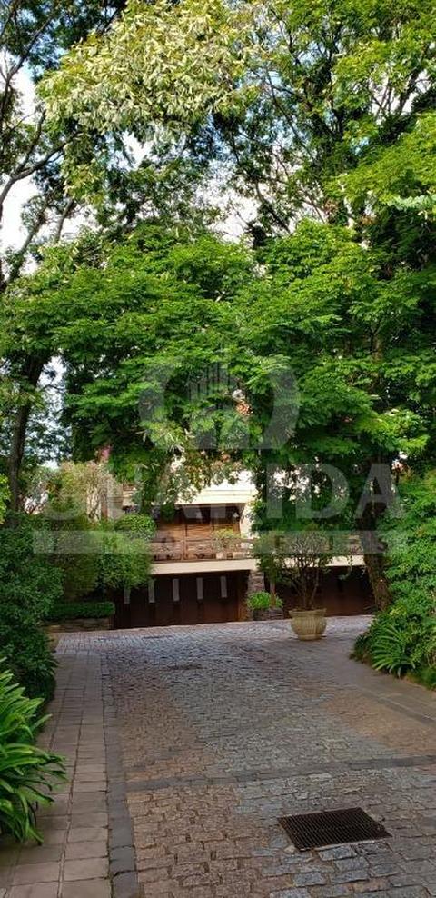 Image 23 - 259851