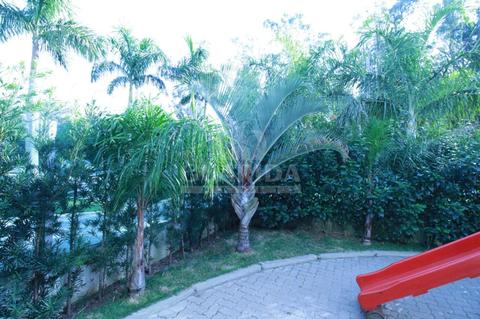 Image 25 - 260022