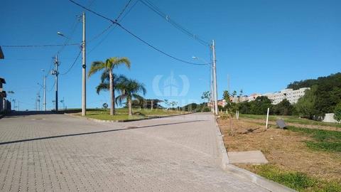 Image 11 - 260682