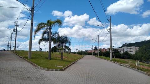 Image 8 - 260682