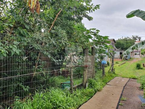 Image 8 - 260809
