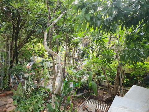 Image 9 - 260809