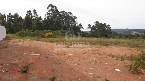 Image 7 - 261420