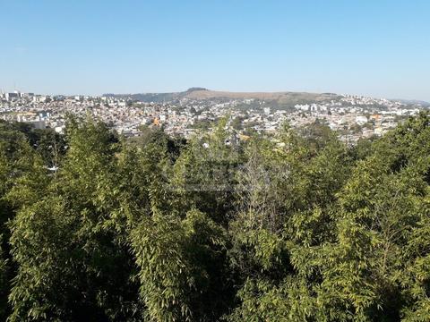 Image 24 - 261455