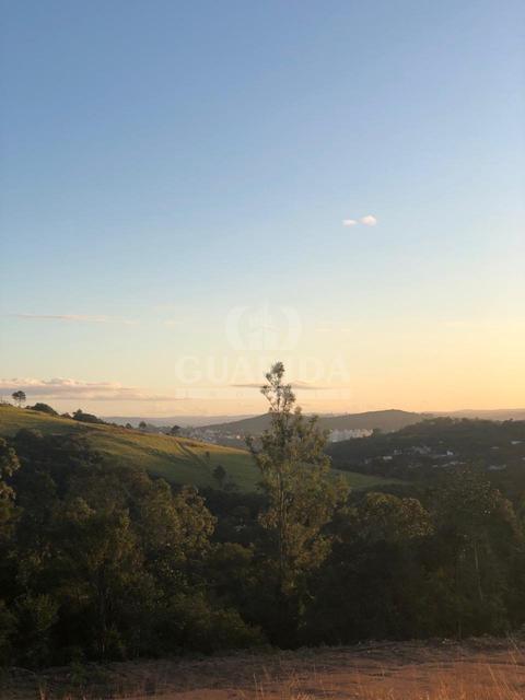 Image 14 - 261539