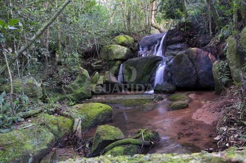 Image 15 - 261539
