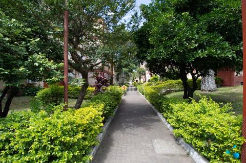 Image 21 - 261582