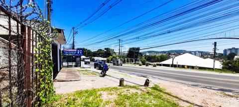 Image 6 - 261695