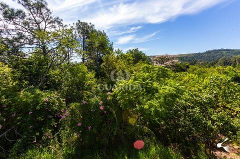 Image 6 - 261827