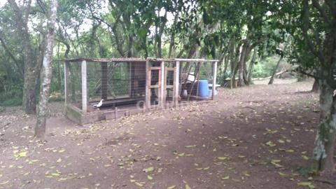 Image 8 - 261900