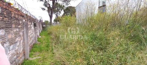 Image 6 - 261916
