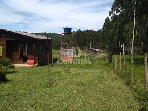 Image 3 - 262062