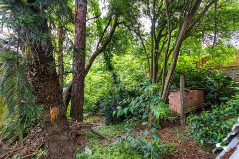 Image 32 - 262349