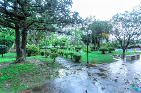 Image 32 - 262409