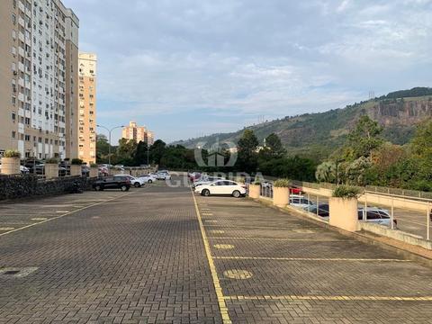 Image 26 - 262447