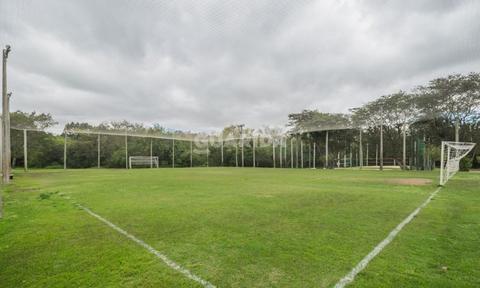 Image 61 - 263249
