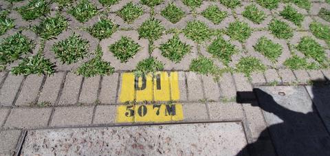 Image 6 - 263276