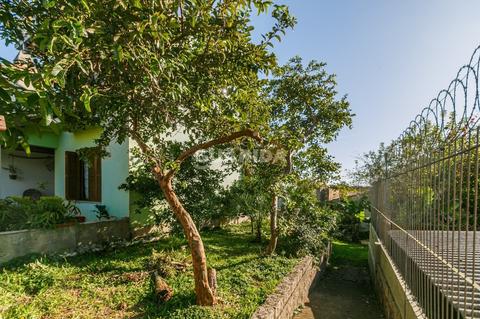 Image 7 - 263643